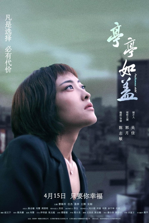 都市治愈系电影精选封面